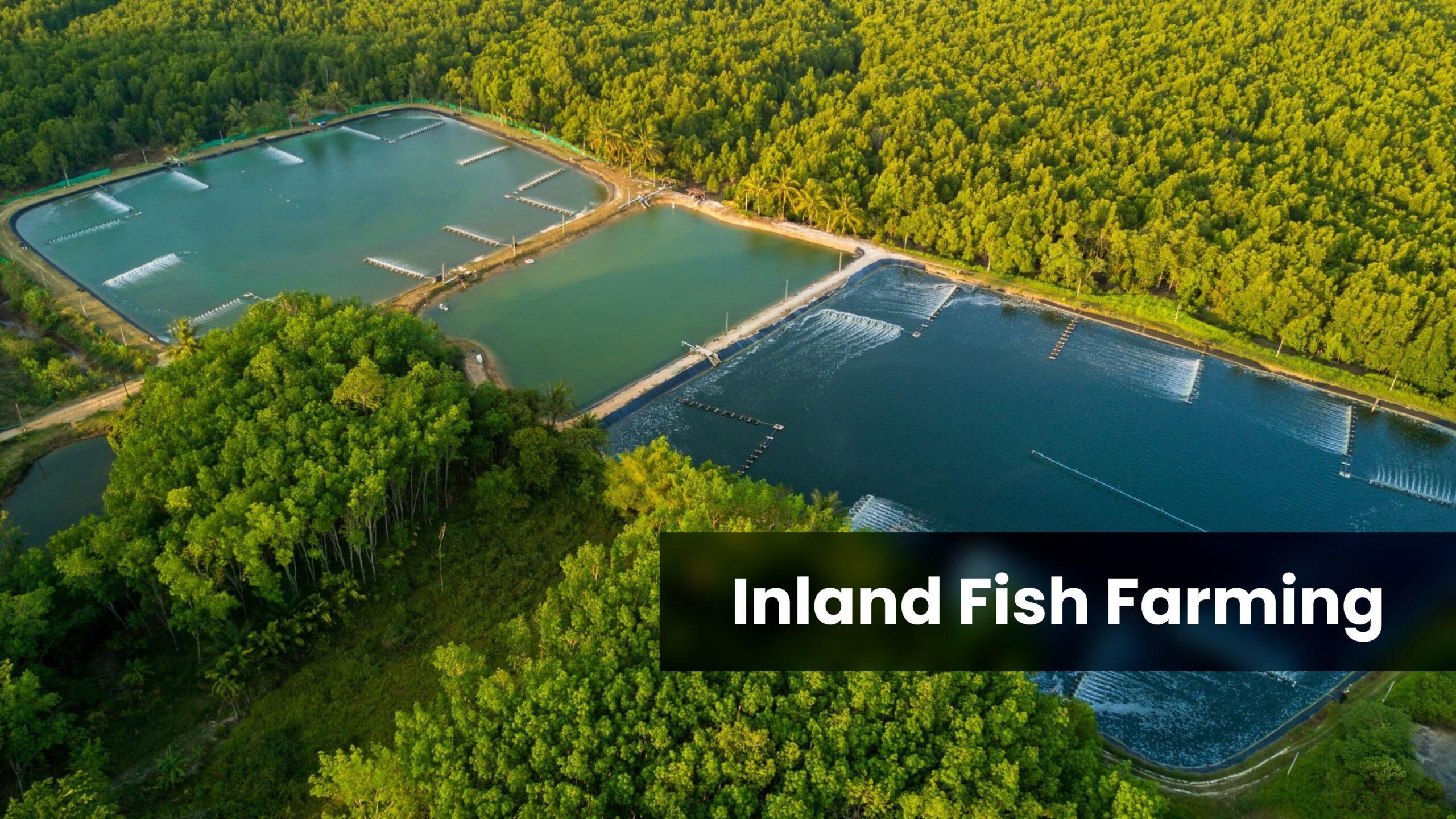 Inland Fish Farming