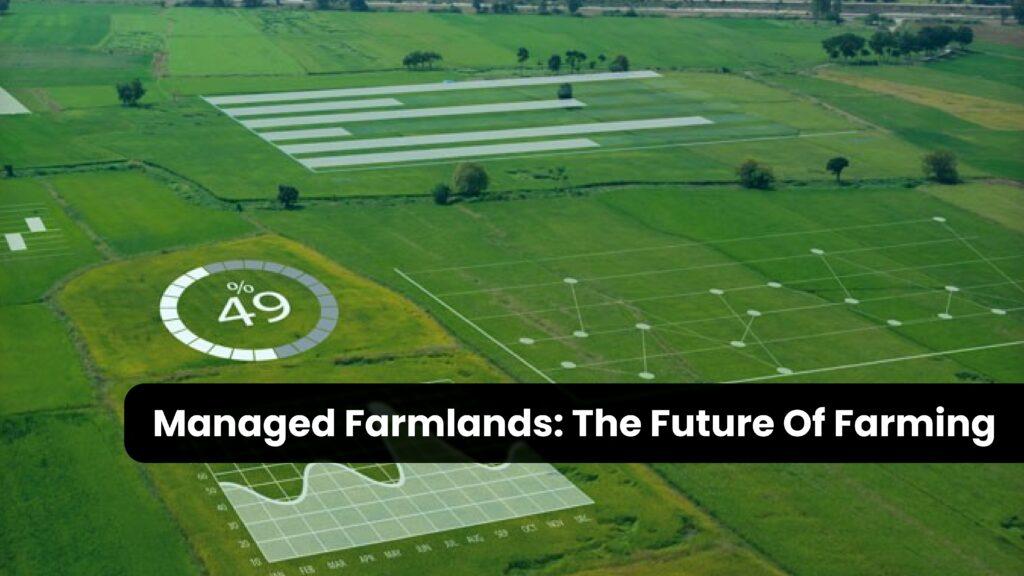 Why managed farmlands is the future of farming