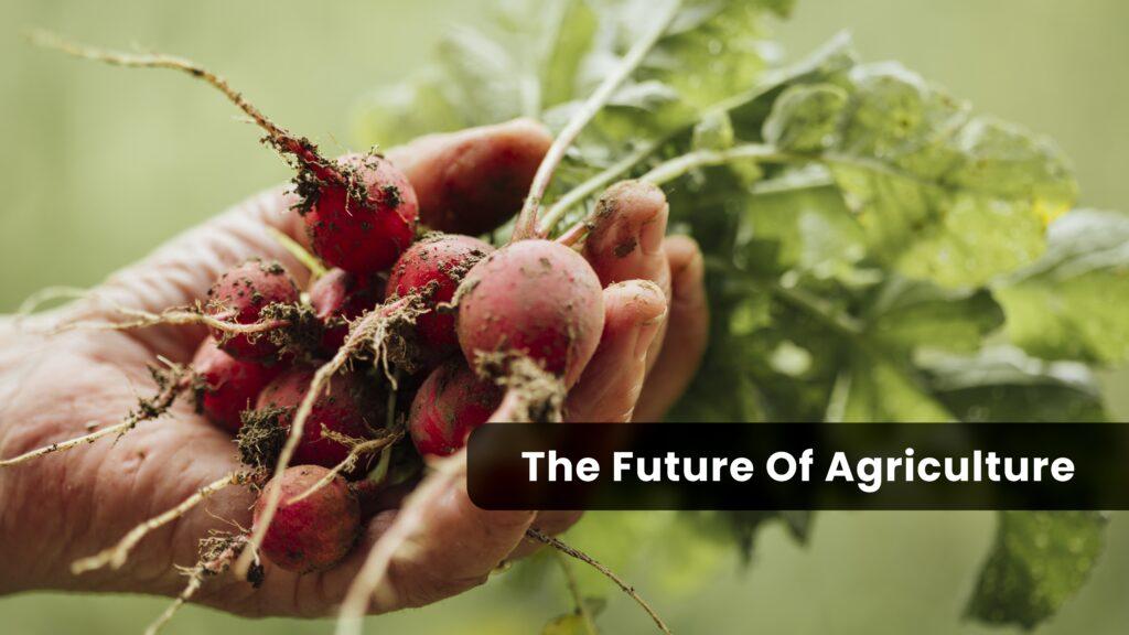 The Rise Of organic Farming