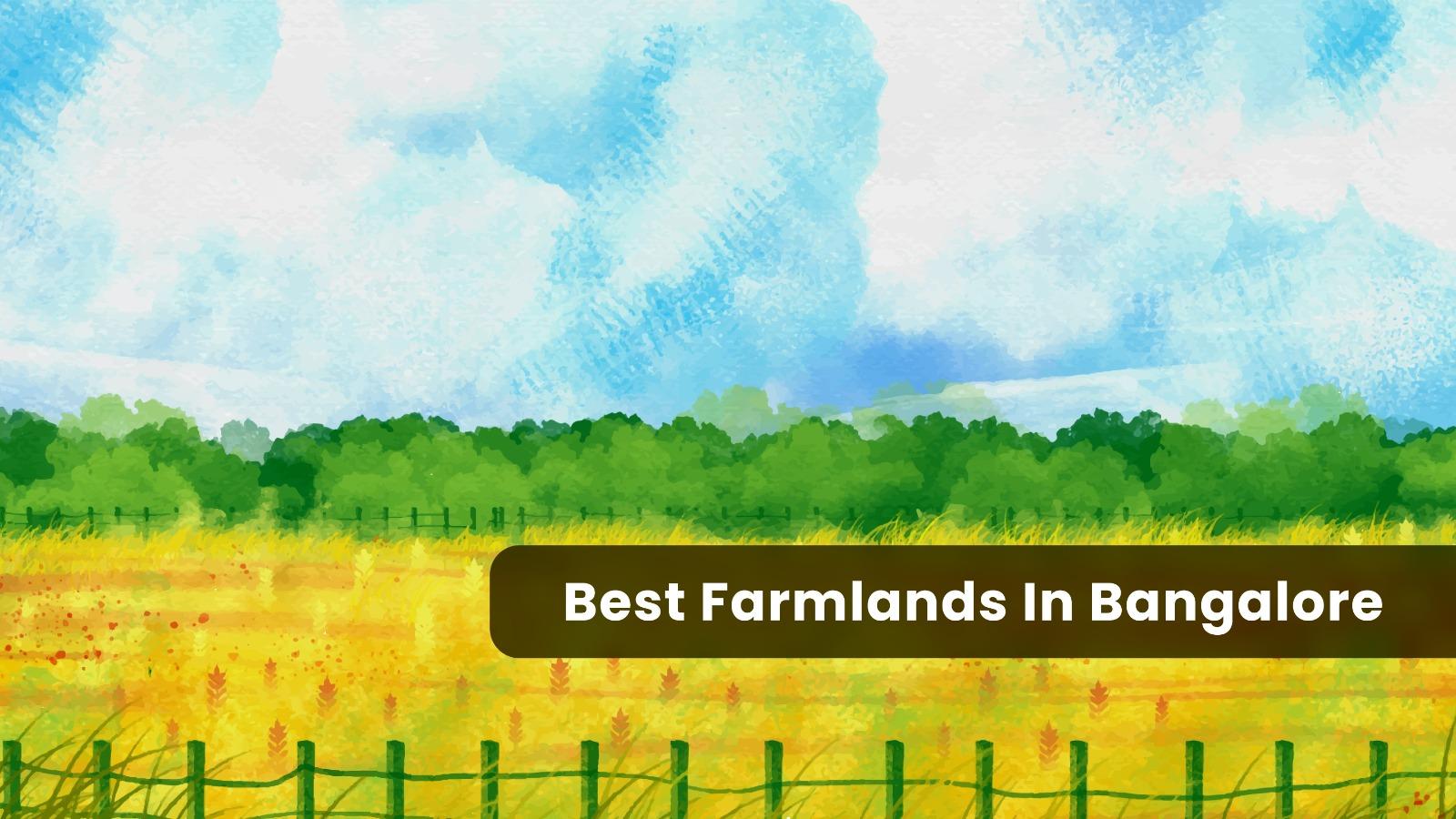 Best Farmland In Bangalore