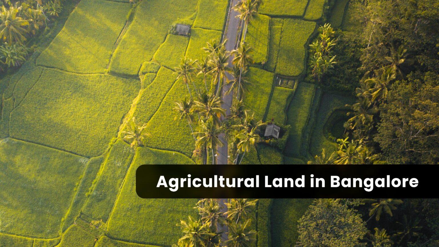 The Benefits Of Owning Agricultural Land In Bangalore Moggs Estates