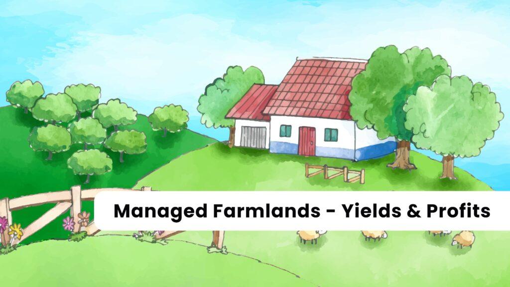 Maximizing yields and profits with managed farmlands
