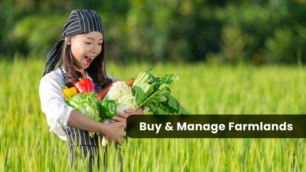 How to buy and manage farmlands