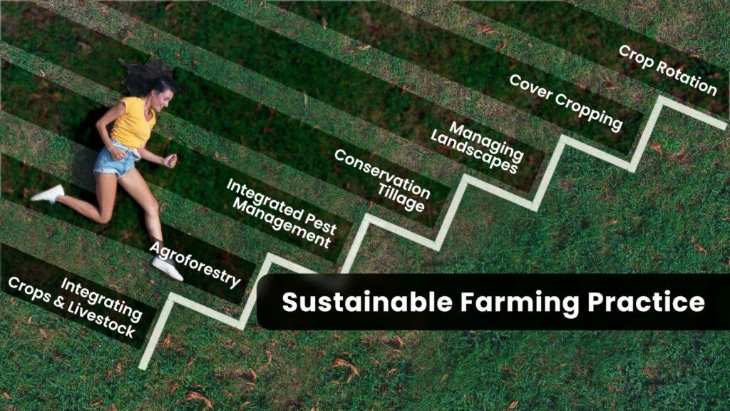 Sustainable Farming Practices