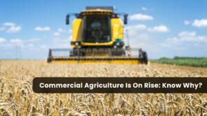 Commercial Agriculture Is On Rise: Know Why?