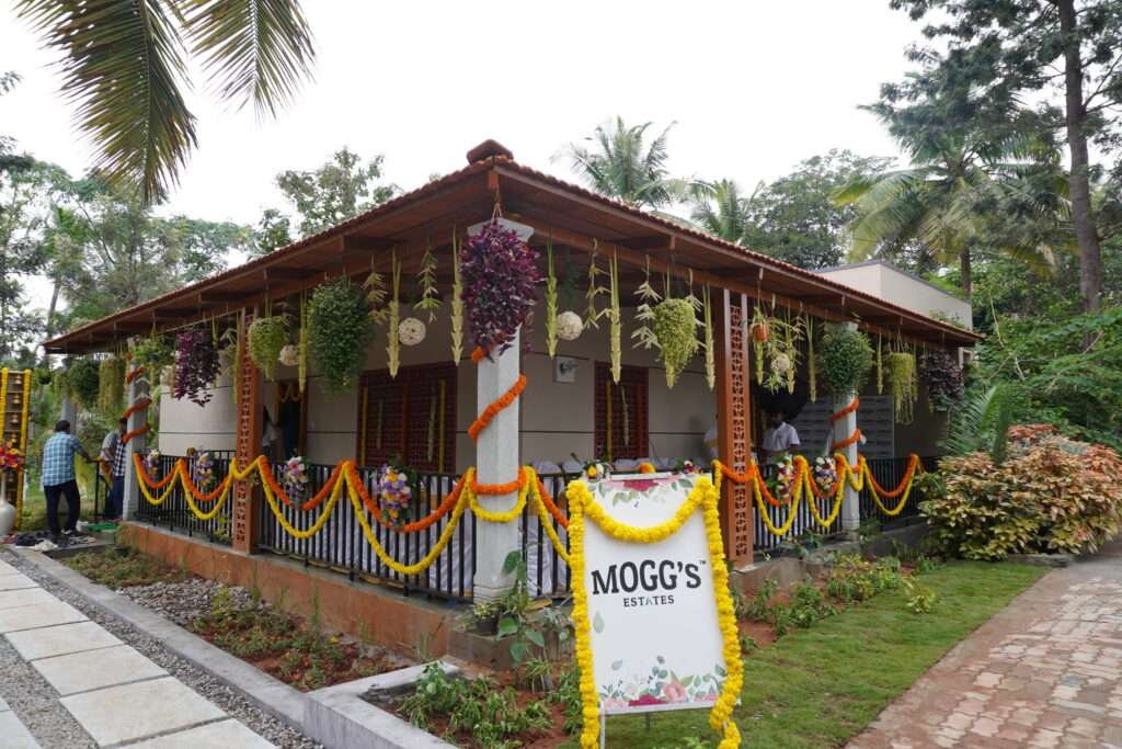 High-yield Mango and Coconut plantation at Aira Phase 1 Kanakapura Road.