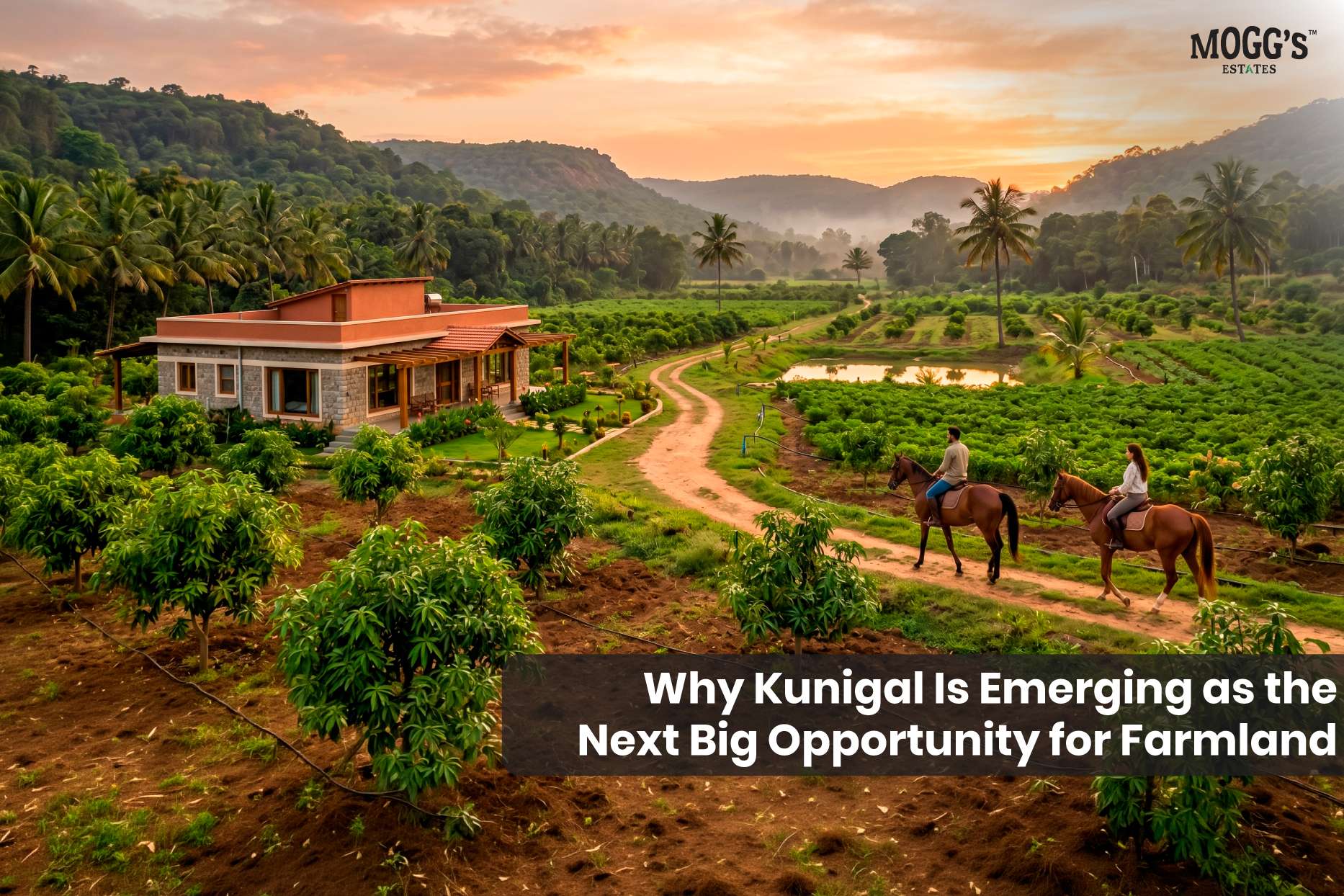 Premium managed farmland near Nelamangala at Terra Hill featuring a luxury stone farmhouse, organic plantations, and horse riding trails at sunset.