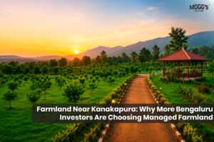 Farmland Near Kanakapura