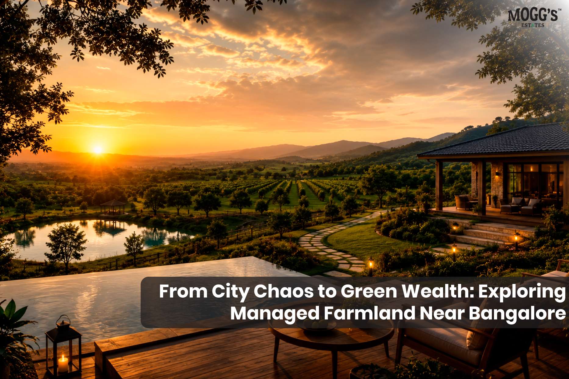 Luxury managed farmland near Bangalore by Mogg's Estates featuring premium farm landscapes, lush greenery, and sustainable farm life.