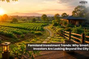 Farmland investment trends and managed farmland near Bengaluru