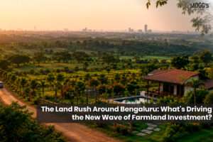 Managed farmland investment around Bengaluru in Kunigal, Kanakapura, Hoskote, and Maddur.