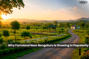 Managed farmland near Bengaluru surrounded by lush green fields