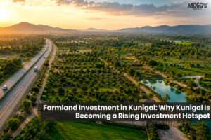 Farmland investment in Kunigal near Bengaluru with highway and green landscape