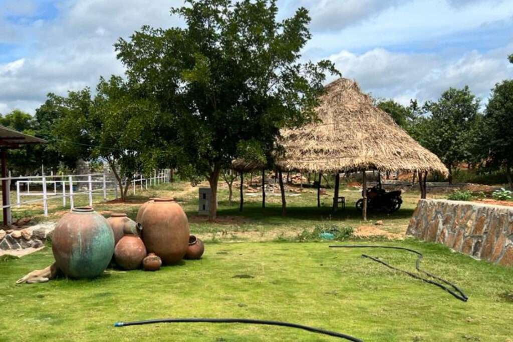 Managed Farmland Near Bangalore – Mogg's Estates