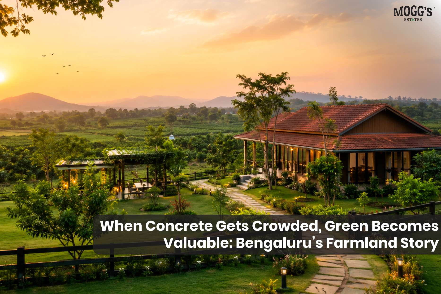 Managed farmland near Bengaluru surrounded by green landscapes