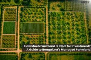 Farmland near Bengaluru for investment