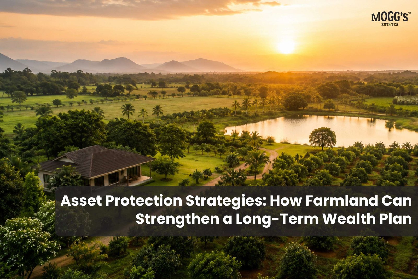 Aerial view of managed farmland with lush agricultural fields, orchards, a farmhouse and a serene pond at sunset