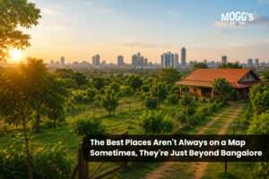 Managed farmland near Bangalore with lush green landscapes offering a peaceful farm life and weekend retreat.