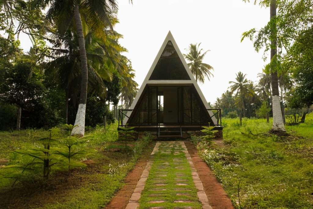 Managed Farmland Near Bangalore – Mogg's Estates