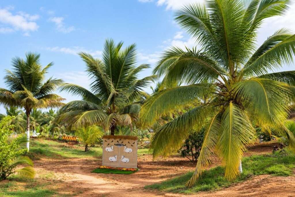 Terra Hills managed farmland near Bengaluru