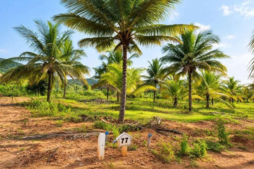 Terra Hills managed farmland near Bengaluru