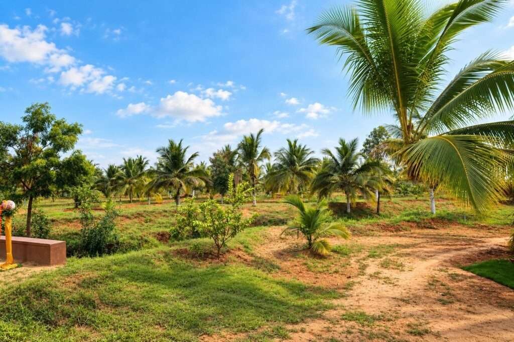 Terra Hills managed farmland near Bengaluru