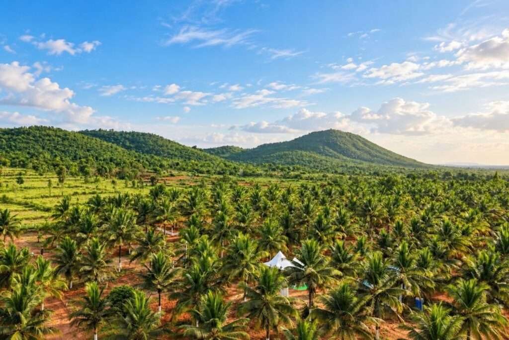 Terra Hills managed farmland near Bengaluru