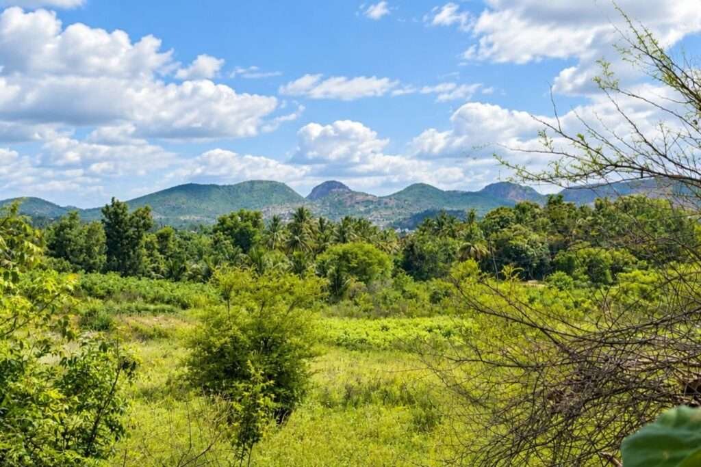 Aira Farms Phase 1 managed farmland near Bengaluru