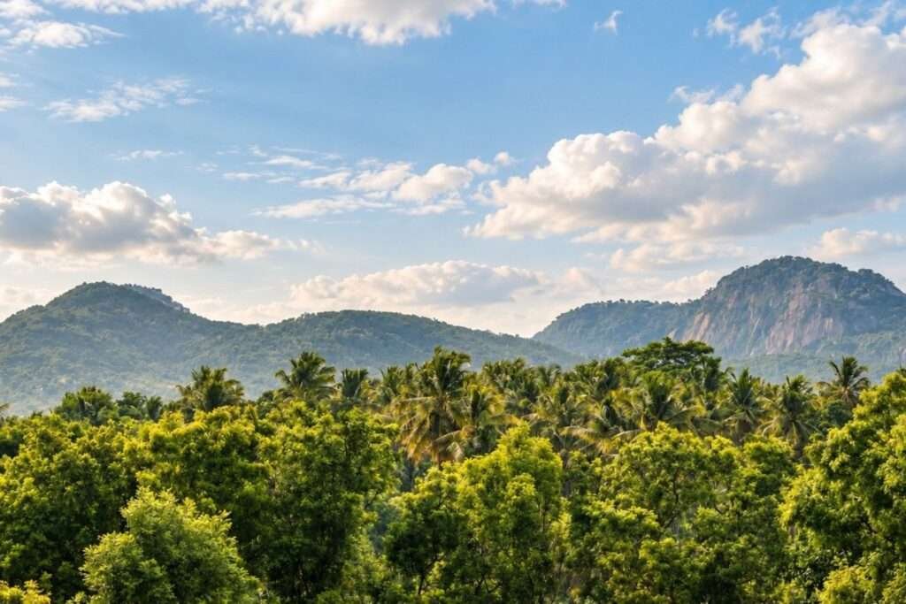 Aira Farms Phase 1 managed farmland near Bengaluru