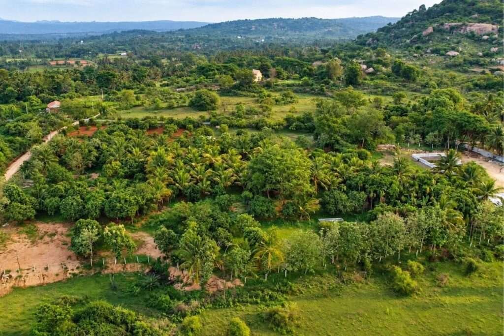 Aira Farms Phase 1 managed farmland near Bengaluru