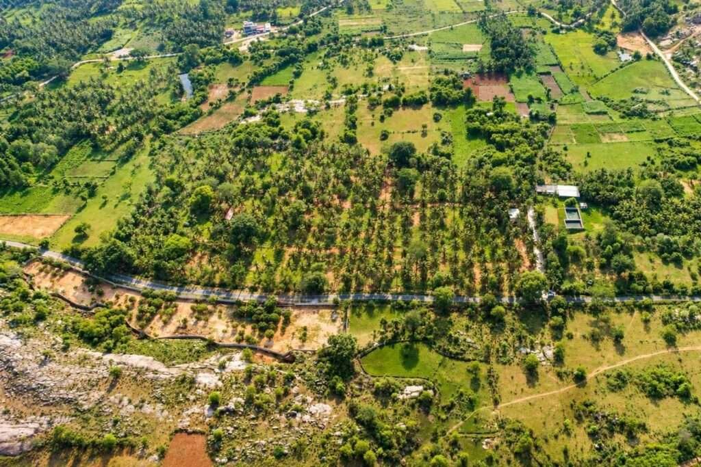 Aira Farms Phase 1 managed farmland near Bengaluru