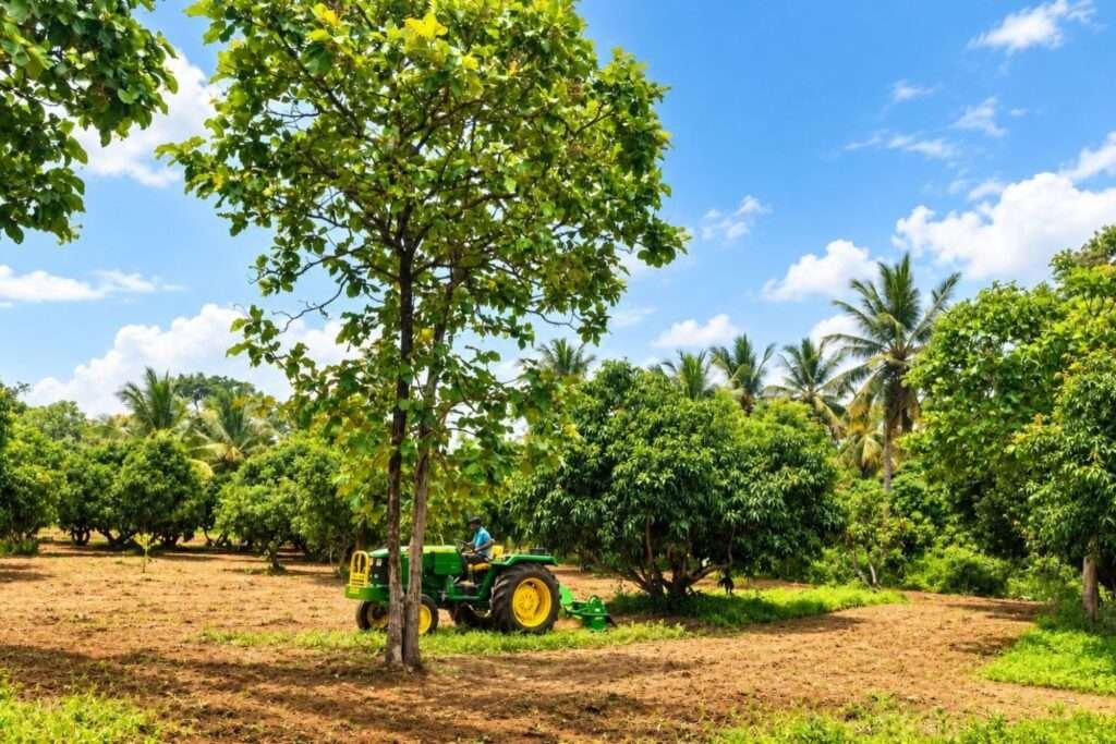 Aira Farms Phase 2 by Mogg's Estates-managed farmland