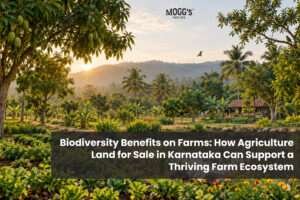 A biodiverse farm in Karnataka with lush greenery, fruit trees, vegetable gardens, a natural pond and a farmhouse.
