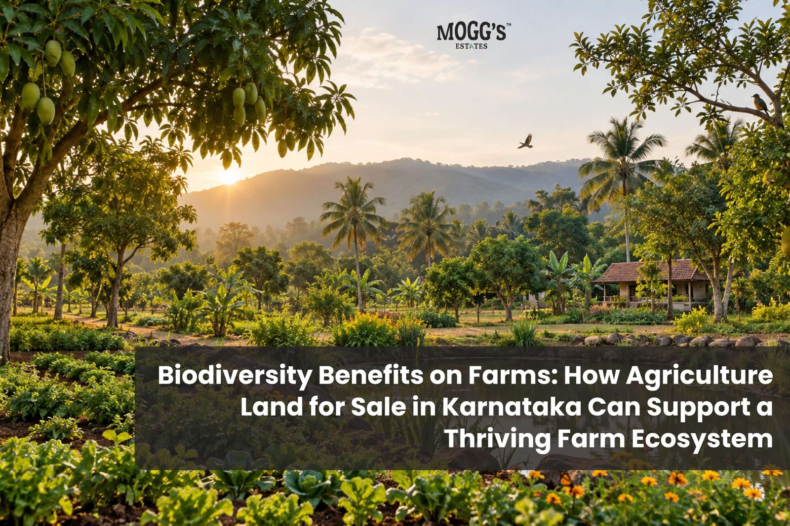 A biodiverse farm in Karnataka with lush greenery, fruit trees, vegetable gardens, a natural pond and a farmhouse.