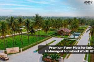 premium managed farmland near Bengaluru featuring wide internal roads and lush green plantations.