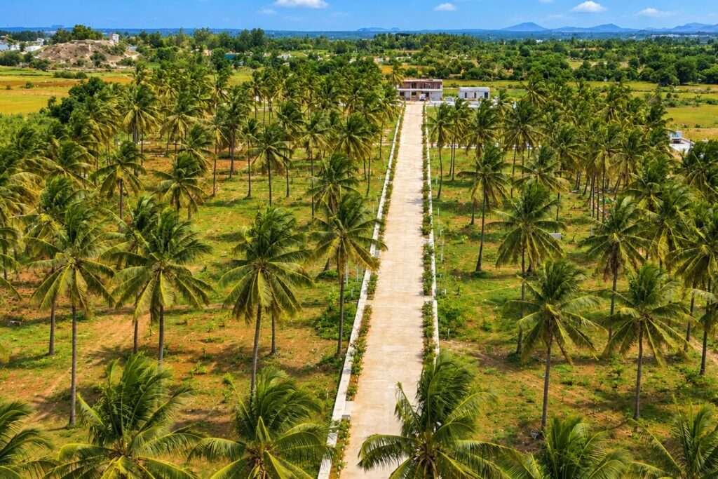 Nidhivanaa Farms managed farmland in Hoskote near Bengaluru