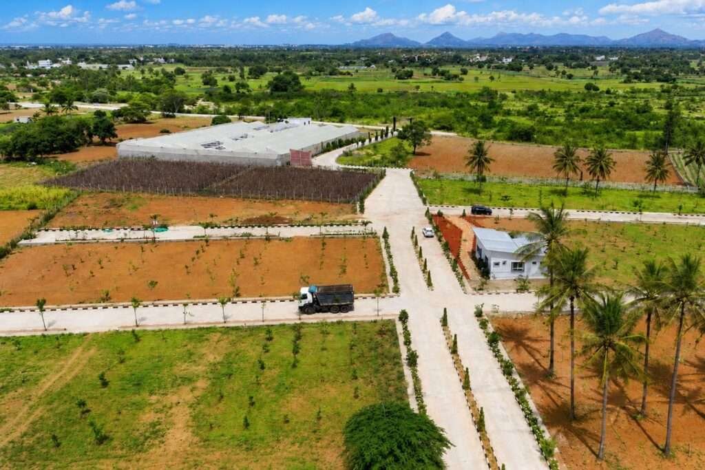 Nidhivanaa Farms managed farmland in Hoskote near Bengaluru