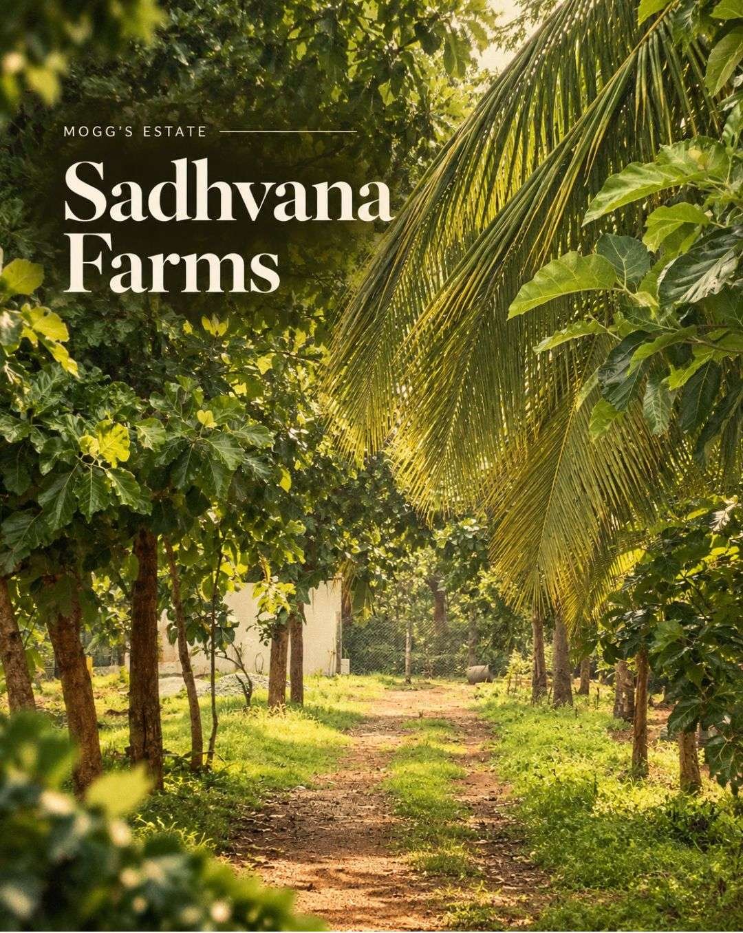 sadhvana farms