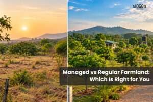 Managed vs regular farmland