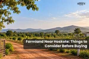 Farmland Near Hoskote