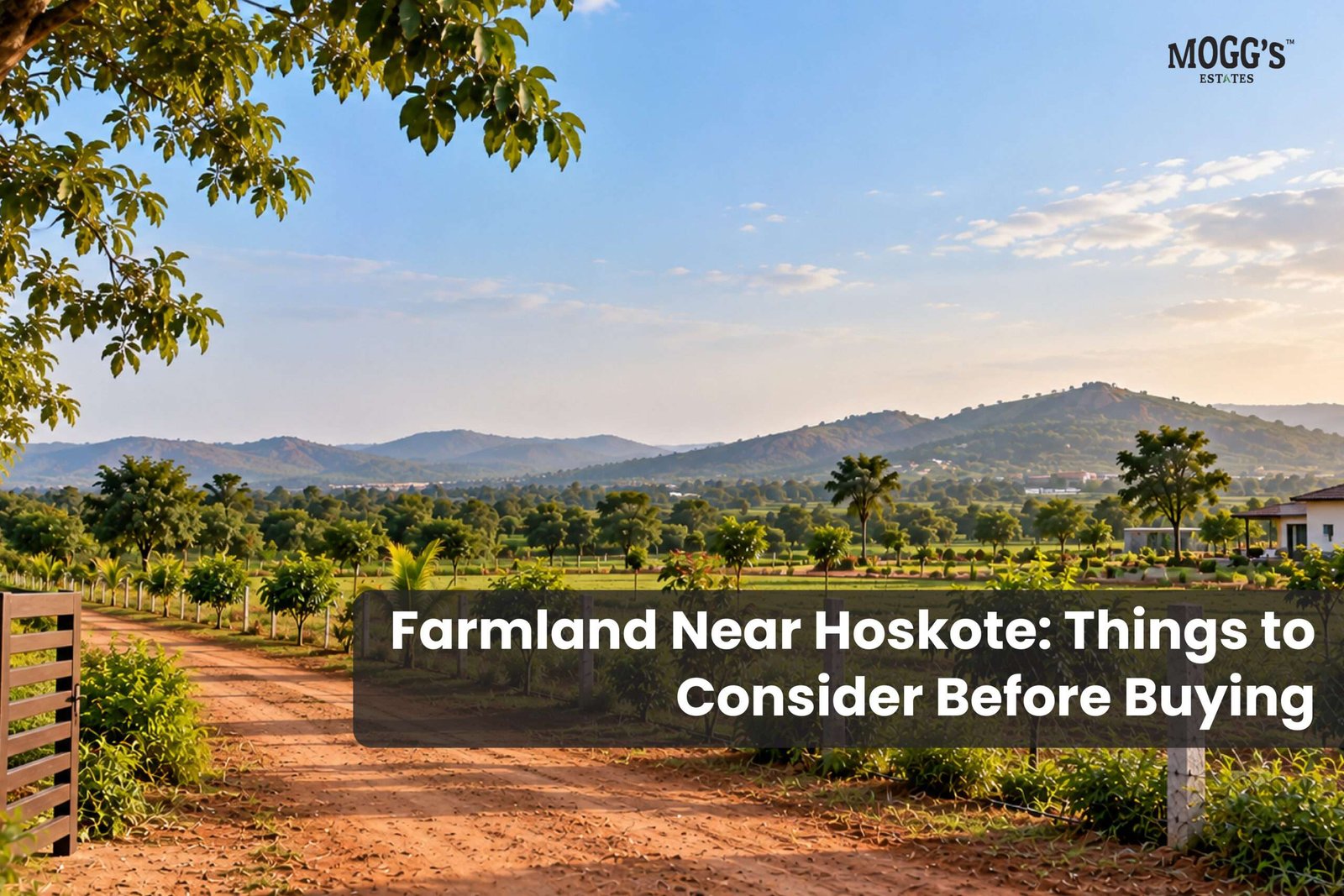 Farmland Near Hoskote