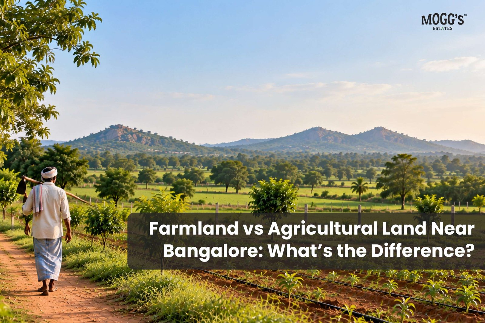Farmland vs Agricultural Land Near Bangalore.