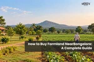 How to Buy Farmland Near Bangalore.