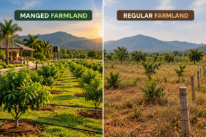 Managed-vs.-Regular-Farmland